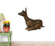 Reh Wall Decal