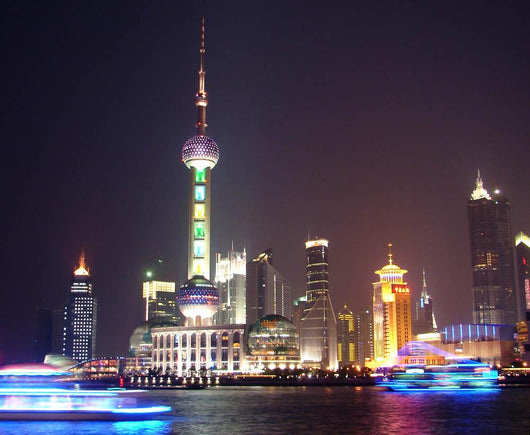 Night Shanghai Wall Decal