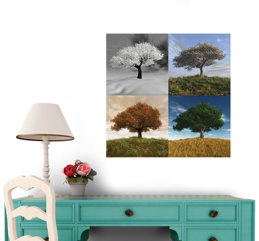 Seasonal Time Laps Wall Decal