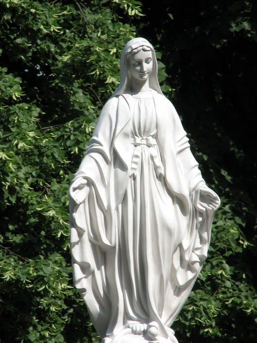 the virgin mary Wall Mural