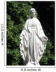 the virgin mary Wall Mural