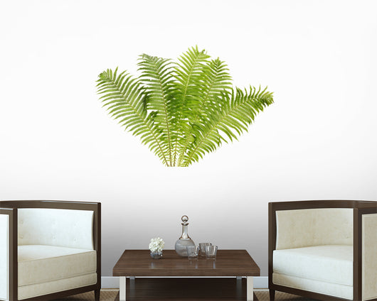 Fern Leaves Wall Decal