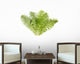 Fern Leaves Wall Decal