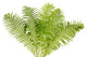 Fern Leaves Wall Decal