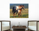 Appaloosa Sunset Wall Decal