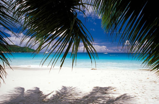 Anse Lazio African Beach Wall Decal