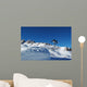 Extreme Snowboarder Wall Decal