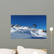 Extreme Snowboarder Wall Decal