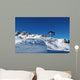 Extreme Snowboarder Wall Decal