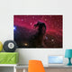 Horsehead Nebula Wall Decal