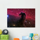Horsehead Nebula Wall Decal