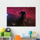 Horsehead Nebula Wall Decal