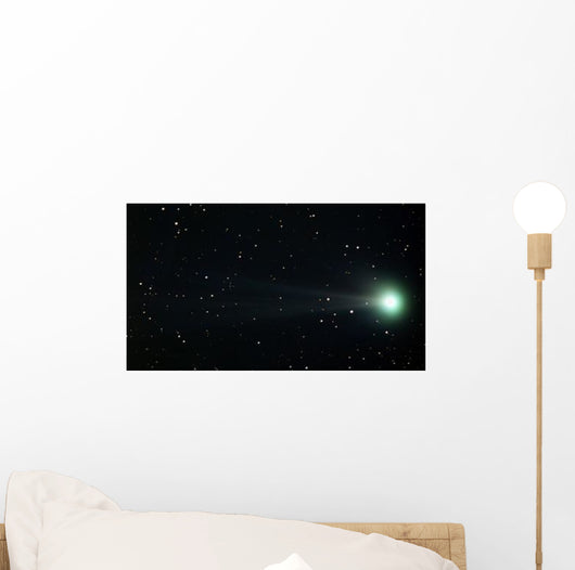 Comet Pojmanski Wall Decal