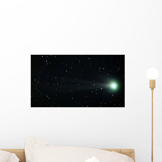 Comet Pojmanski Wall Decal