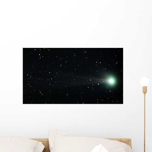 Comet Pojmanski Wall Decal
