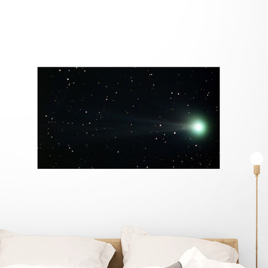 Comet Pojmanski Wall Decal