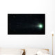 Comet Pojmanski Wall Decal