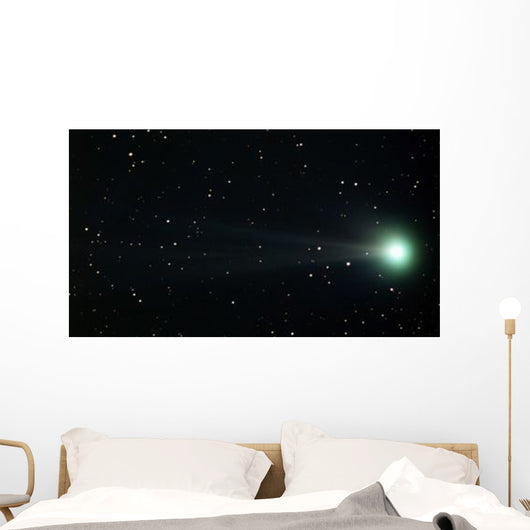 Comet Pojmanski Wall Decal
