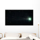 Comet Pojmanski Wall Decal