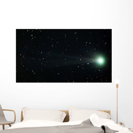 Comet Pojmanski Wall Decal