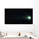 Comet Pojmanski Wall Decal