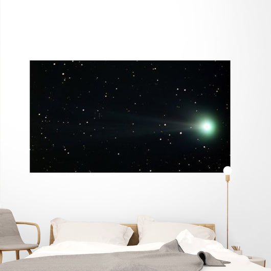 Comet Pojmanski Wall Decal