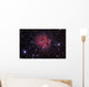 Cocoon Nebula Wall Decal Design 1