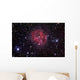 Cocoon Nebula Wall Decal Design 1