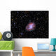 Crab Nebula Wall Decal Design 2