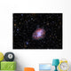 Crab Nebula Wall Decal Design 2