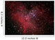 Eagle Nebula Wall Decal Design 1