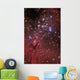 Eagle Nebula Wall Decal Design 2