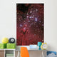 Eagle Nebula Wall Decal Design 2