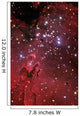 Eagle Nebula Wall Decal Design 2