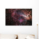 Omega Nebula Wall Decal
