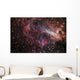 Omega Nebula Wall Decal