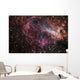 Omega Nebula Wall Decal