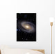 Messier 81 Spiral Galaxy Wall Decal