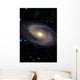Messier 81 Spiral Galaxy Wall Decal