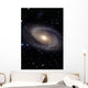 Messier 81 Spiral Galaxy Wall Decal