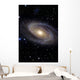 Messier 81 Spiral Galaxy Wall Decal