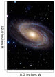 Messier 81 Spiral Galaxy Wall Decal