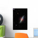 Cigar Galaxy Wall Decal