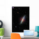 Cigar Galaxy Wall Decal