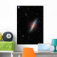 Cigar Galaxy Wall Decal