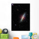 Cigar Galaxy Wall Decal