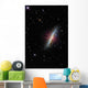 Cigar Galaxy Wall Decal