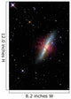 Cigar Galaxy Wall Decal