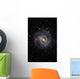 Southern Pinwheel Galaxy Wall Decal
