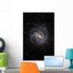 Southern Pinwheel Galaxy Wall Decal